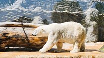 Prague Zoo Ticket with Online Audio Guide