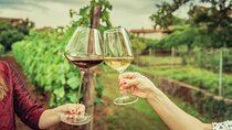 Private Luxury Tour: Ancient Nemea & Top Wine Tasting Experience