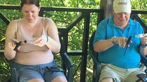 Rockland's Bird Sanctuary Tour from Montego Bay/ Falmouth