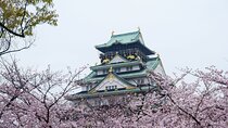 Osaka Castle 3 Hours Historical Walking Tour