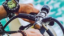 Giftun Island Dive and Snorkel Adventure From Hurghada