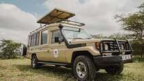 2 Day Midrange Safari to Tarangire and Ngorongoro from Arusha