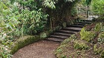 A Unique Belfast Walking Experience
