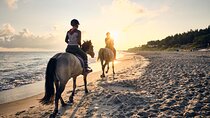 Pura Vida in Papagayo - WRCT Adventures Private Horseback Ride 
