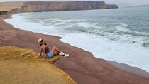 From Ica to Huacachina: Ballestas Islands and National Reserve
