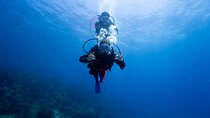  Try Scuba Diving at Cook Island – Guided Ocean Dive with Turtles