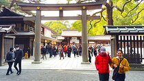 Tokyo: Meiji Jingu Shrine & Inner Garden Private Tour (2h)