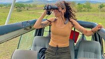 Half Day Nairobi National Park Guided Safari with free WIFI