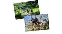 Tour Combo - WRCT Adventures Private Zipline & Horseback Ride