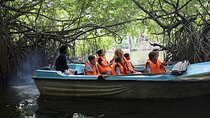 All Inclusive Madu River Boat Safari at Balapitiya
