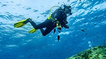 Scuba Diving 1 Dive Side from the Boat for Certified Divers