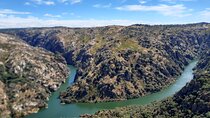 Douro Tour History and Wine