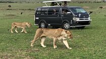 Nairobi National Park, Karen Blixen, Cultural Dance Show & Dinner