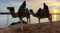 Agadir Quad Bike and Gotes on Trees and Camel ride in some day