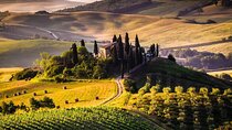 Montepulciano noble wines tour in Tuscany from Rome