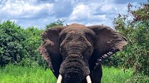  Kigali to Kayonza Akagera National Park 4WD Tour