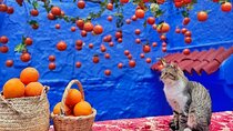 Private Day Trip from Fes to Chefchaouen The Blue City