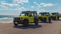 Cozumel Sky Day Tour by Catamaran & Jimny Adventure 