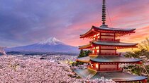 Mount Fuji and Hakone Private Tour with Pickup from Tokyo