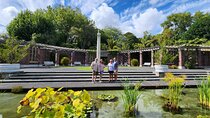  Auckland Best Top 5 Spots Half day Tour 