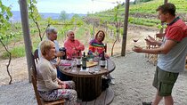 Wine Class Portugal wines in a small farm with a visit to the winery