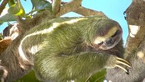 Costa Rica Manuel Antonio Nature Adventure