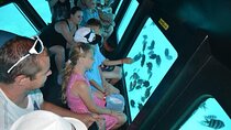 El Gouna Semi Submarine Sea Trip 2 Hours From Abu Tig Marina