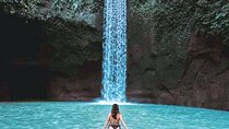 Bali Charter Tour Waterfall, Temple and Rice Fields
