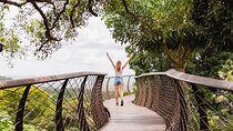 Half Day Tour: Table Mountain & KirstenBosch Botanical Gardens