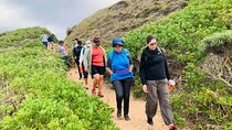 Costal Hiking Sacramento Trail Port Elizabeth 