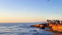 San Diego Private Highlights Tour with Daily Chauffeur
