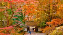 From Nagoya: Korankei Gorge and Picturesque Fox Shrines