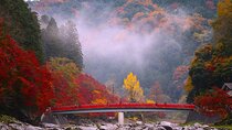 From Nagoya: Korankei Gorge & Toyokawa Inari