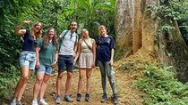 Cuc Phuong Van Long Nature Reserve 1 Day Trip from Hanoi