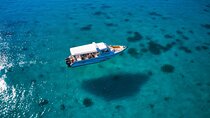 Daymaniyat Island Snorkelling 