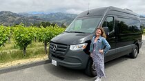 Santa Barbara, Solvang, Wine Country Private from Los Angeles