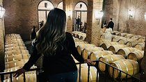 1 Day Tour of Viña Concha y Toro from Santiago
