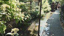Full Day Tour Of Gujo Hachiman A Castle Town From Nagoya By Car