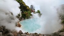 Hot Spring Bath / Onsen and Sakura / Cherry Blossom Viewing