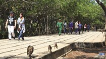 Monkey Island and Mangrove Forest Eco Tour from Ho Chi Minh
