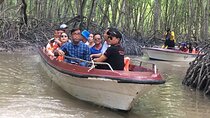 Private tour Vam Sat Ecological Mangrove Forest
