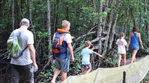 Full Day Private Tour Vam Sat and Monkey Island