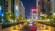 Fantastic Small Group Seoul Night Tour