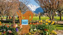 Zurich: Private Day Trip to Lucerne and Interlaken 
