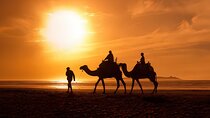Camel Ride in Agadir with Dinner BBQ