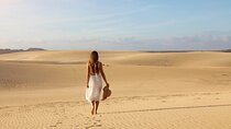 Discover Fuerteventura in One Day 