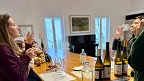 Tour of the Green Wine villages and wine tasting.