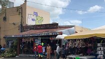 Discover Cancun: City Tour, Culture & Shopping in One Day