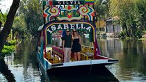 Transportation + Xochimilco + Coyoacan + Frida Kahlo Museum (Optional)