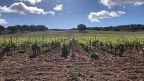 Ronda Day Tour and Winery Visits from Marbella